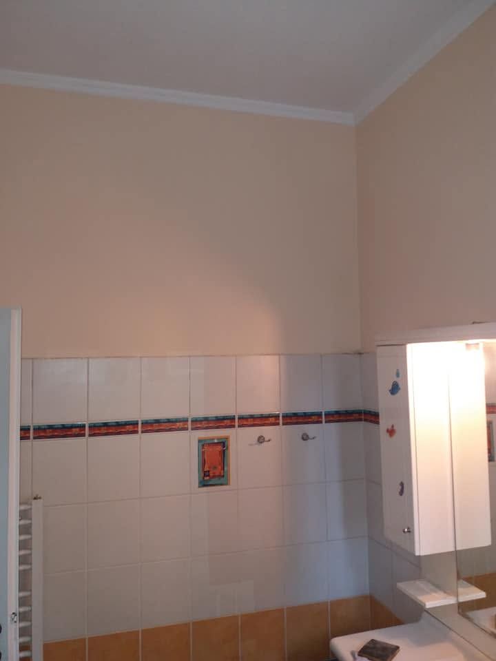 Peach walls above the tiles