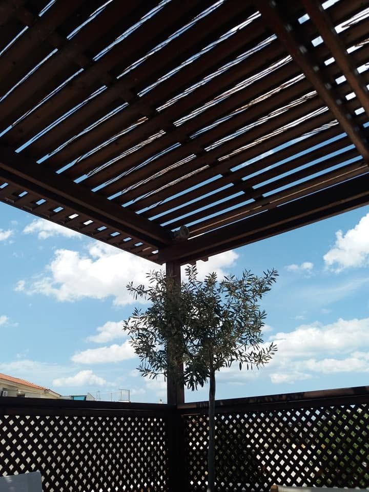 البرغولا